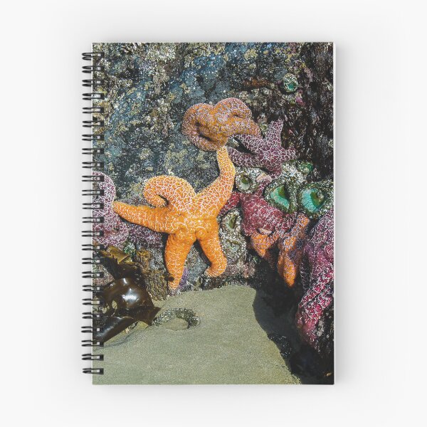 Item preview, Star Light, Star Bright designed and sold by DebraBarnes.