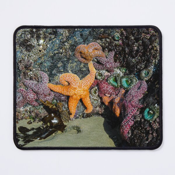 Item preview, Star Light, Star Bright designed and sold by DebraBarnes.