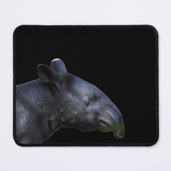 Item preview, Malayan tapir designed and sold by andrew82984.