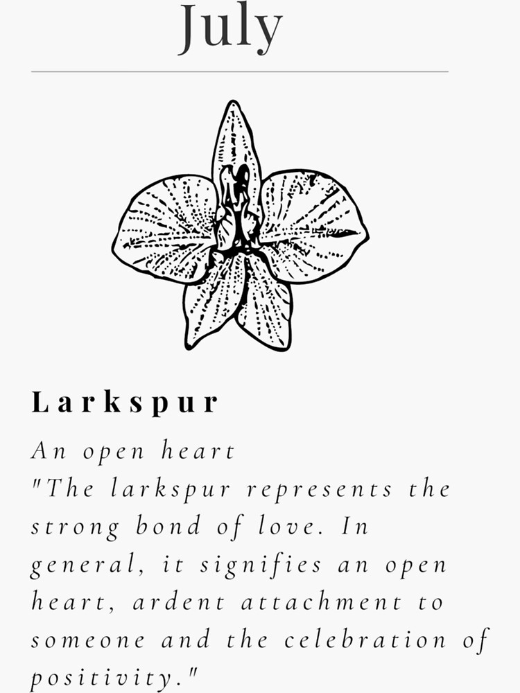 "Minimalistic Birth flower July Larkspur flower meaning An open heart