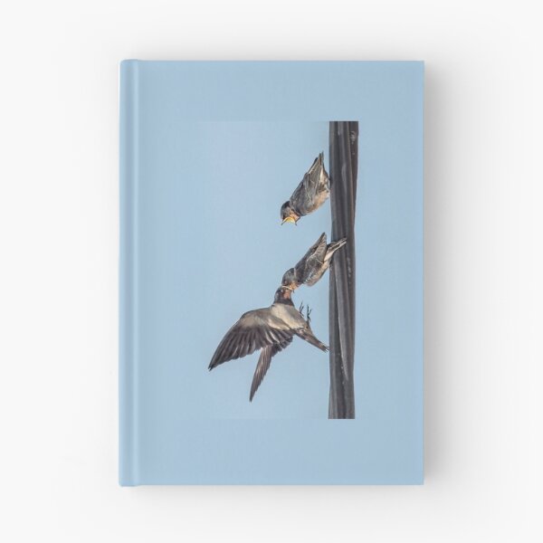 Item preview, Swallow Feeding Chicks designed and sold by jaks.