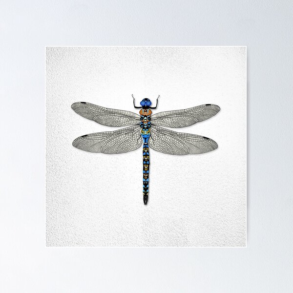 Item preview, Dragonfly designed and sold by rogue-design.