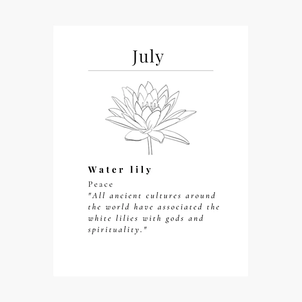 "Minimalistic Birth flower July Water Lily flower meaning Peace"  Photographic Print for Sale by StarsRainDown | Redbubble