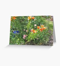 Beloved by Grandma Greeting Card