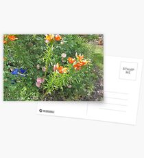 Beloved by Grandma Postcards