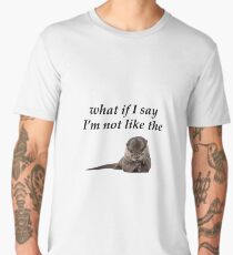 Foo Fighters - The Pretender otter Men's Premium T-Shirt