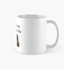 Foo Fighters - The Pretender otter Mug
