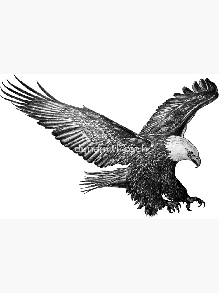 Adler von dynamitfrosch