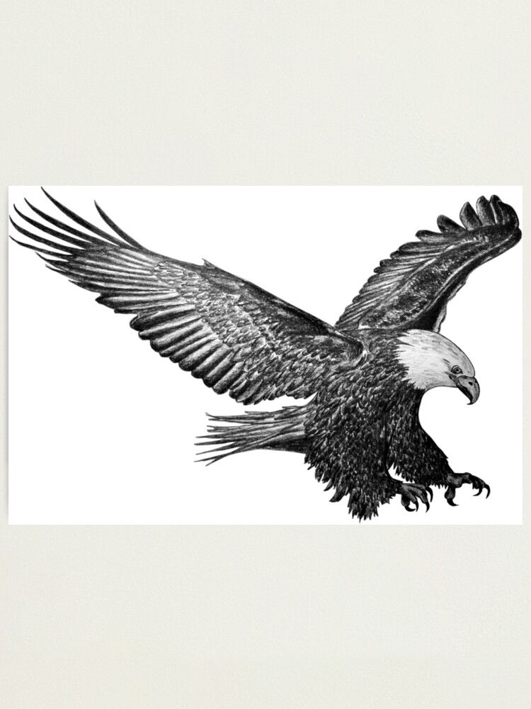Alternative Ansicht von Adler Fotodruck