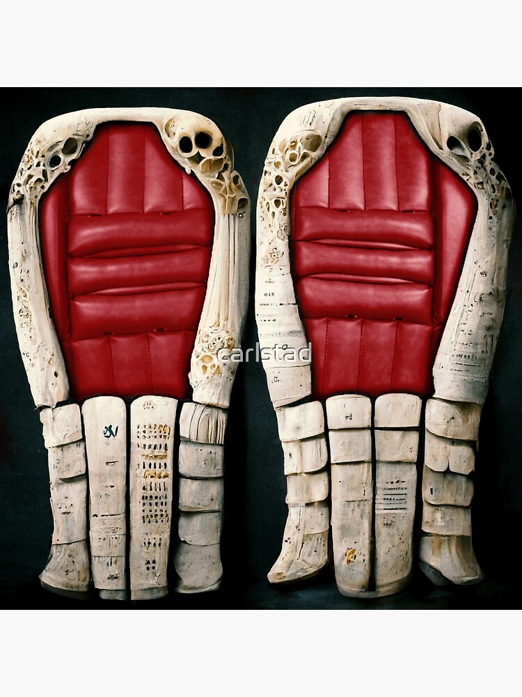 Andrei Vasilevskiy Goalie Pads and Gear