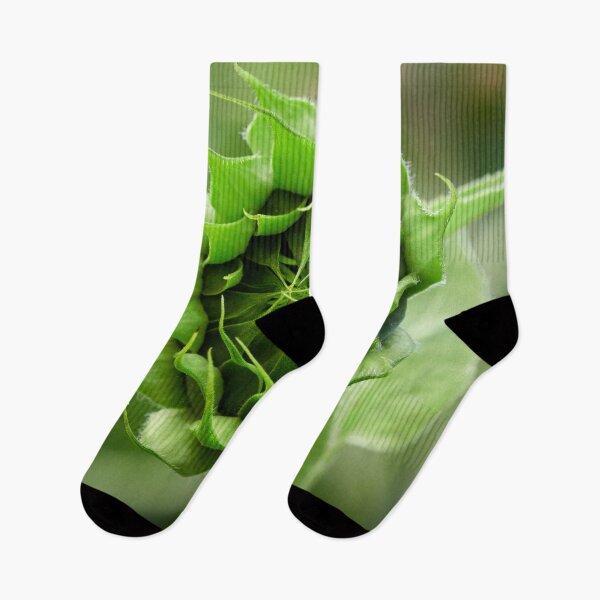 Item preview, RAW, Sunflower designed and sold by Jouko Lehto Photography.