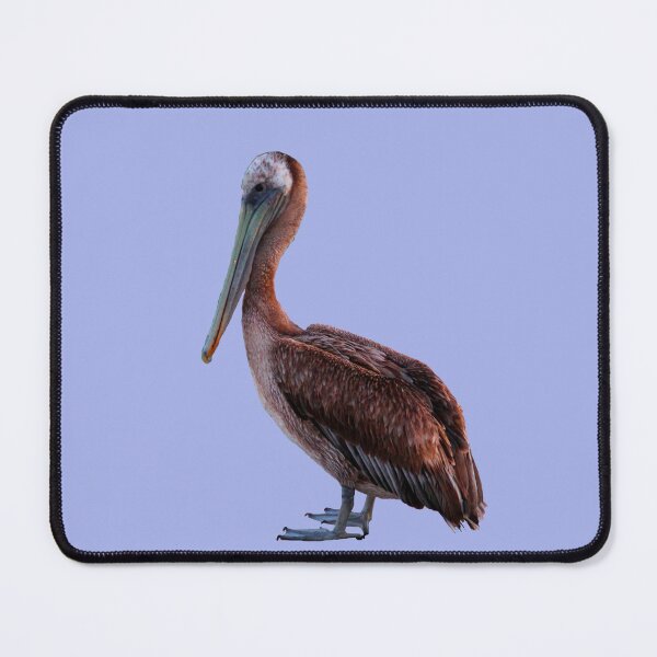 Item preview, Resting Brown Pelican designed and sold by DebraBarnes.