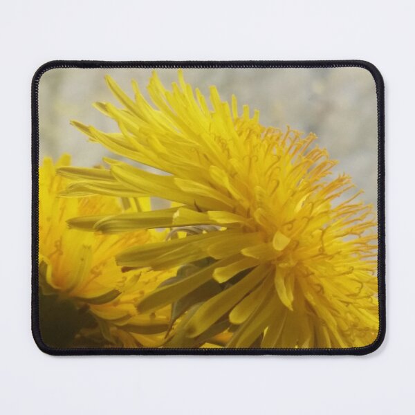 Item preview, Dandelion in Profile DPG170416b designed and sold by CSteenArt.