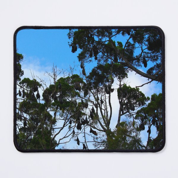 Item preview, Fruit bats in Hervey Bay designed and sold by AHELENE.