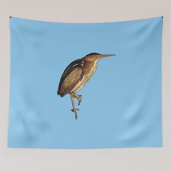 Item preview, Color Print of an Least Bittern designed and sold by designsasstultd.
