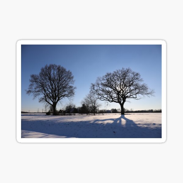 Winterbäume Sticker