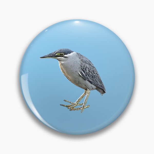 Item preview, Color Print Painting Design of a Striated Heron  designed and sold by designsasstultd.