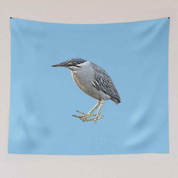 Item preview, Color Print Painting Design of a Striated Heron  designed and sold by designsasstultd.