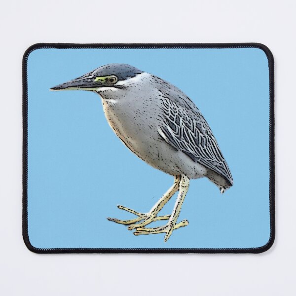 Item preview, Color Print Painting Design of a Striated Heron  designed and sold by designsasstultd.