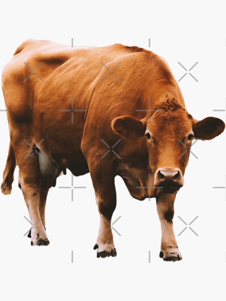 dibujo de vaca realista