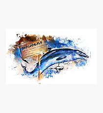 Basilosaurus Photographic Print