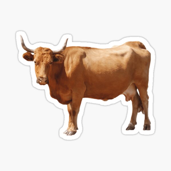Item preview, Texas Longhorn Cattle designed and sold by CritterSticker.