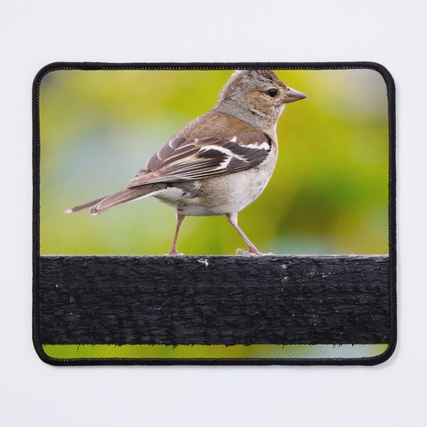 Item preview, Chaffinch designed and sold by photobytableau.