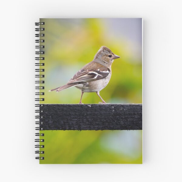 Item preview, Chaffinch designed and sold by photobytableau.