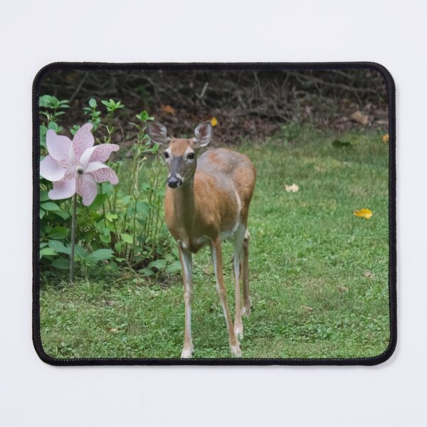 Item preview, Neighbor Visiting designed and sold by RoseC.