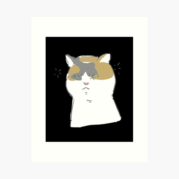 Angry Cat Drawings for Sale - Fine Art America