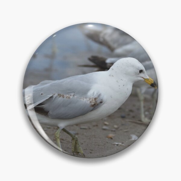 Item preview, Seagulls at Beach  designed and sold by Christasbubble.