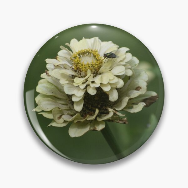 Item preview, Yellow Flower with Fly designed and sold by Christasbubble.