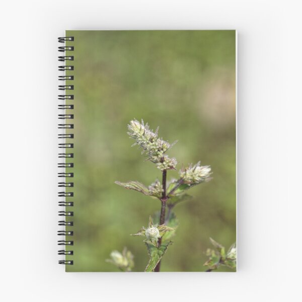 Item preview, Flowers of a peppermint plant, Mentha x piperita designed and sold by Zosimus.