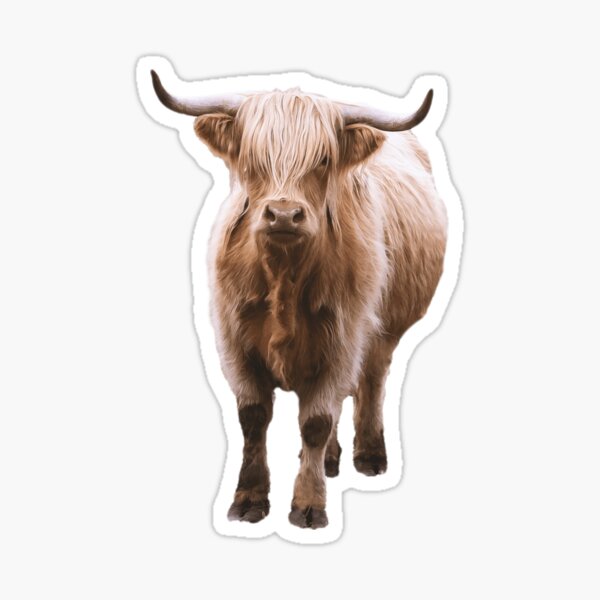 Item preview, Scootish Woolly Cattle designed and sold by CritterSticker.