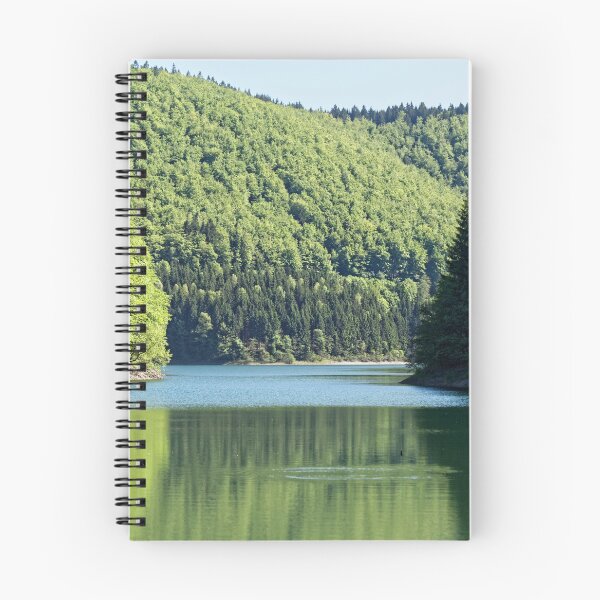 Item preview, Landscape in the Thuringian forest designed and sold by Zosimus.