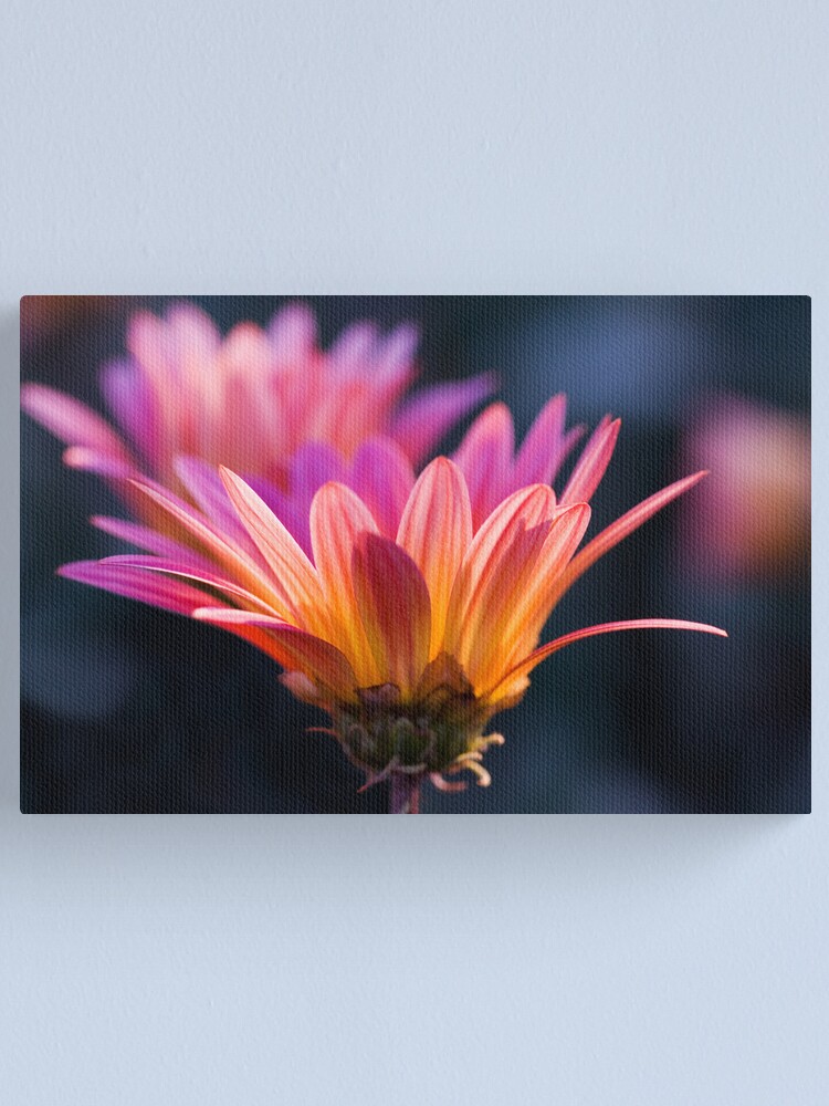 Alternate view of Pastel Peregrination Canvas Print