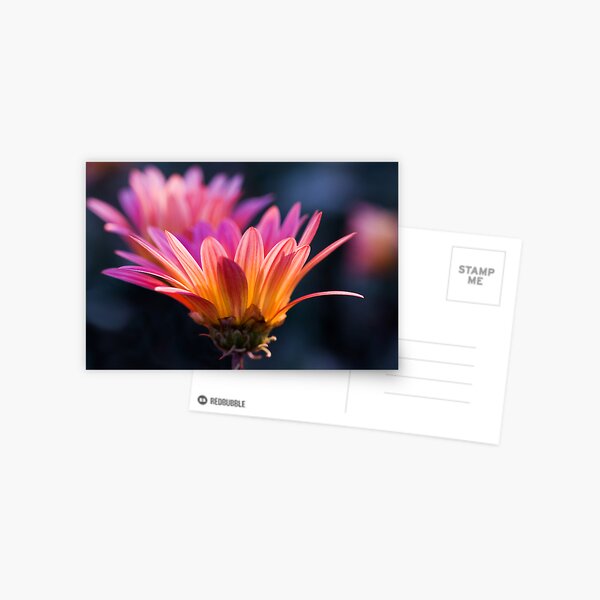 Pastel Peregrination Postcard