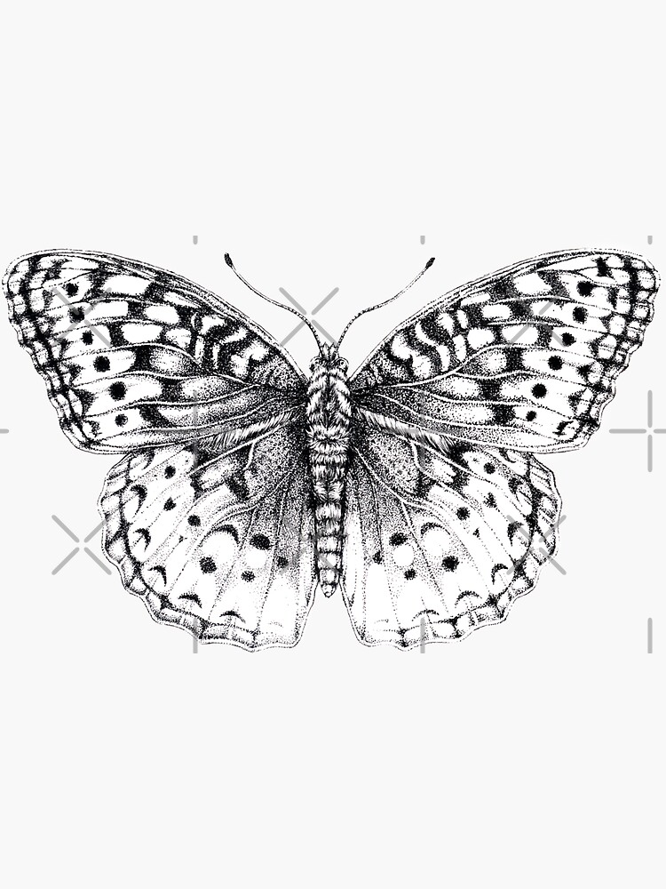 Butterfly Pen and Ink Stippling Illustration Sticker for Sale by