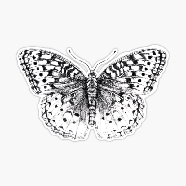 Butterfly Pen and Ink Stippling Illustration Sticker for Sale by