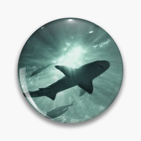 Item preview, Aquarium Shark in the Spotlight designed and sold by Ellen Cotton.