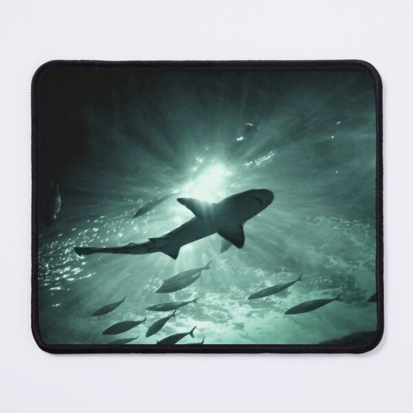 Item preview, Aquarium Shark in the Spotlight designed and sold by Ellen Cotton.