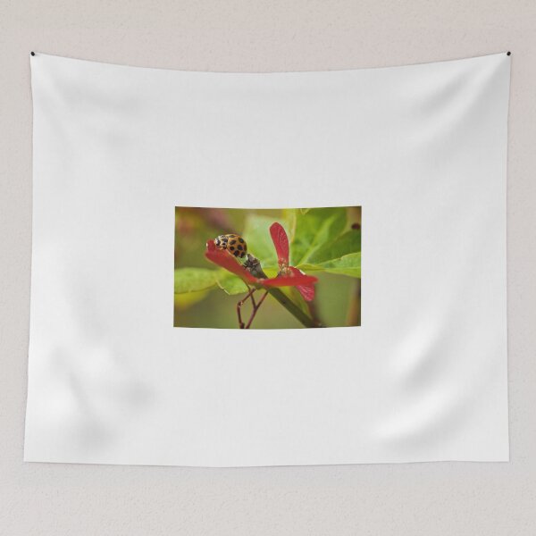 Item preview, The Ladybug and the Flower designed and sold by D-GaP.