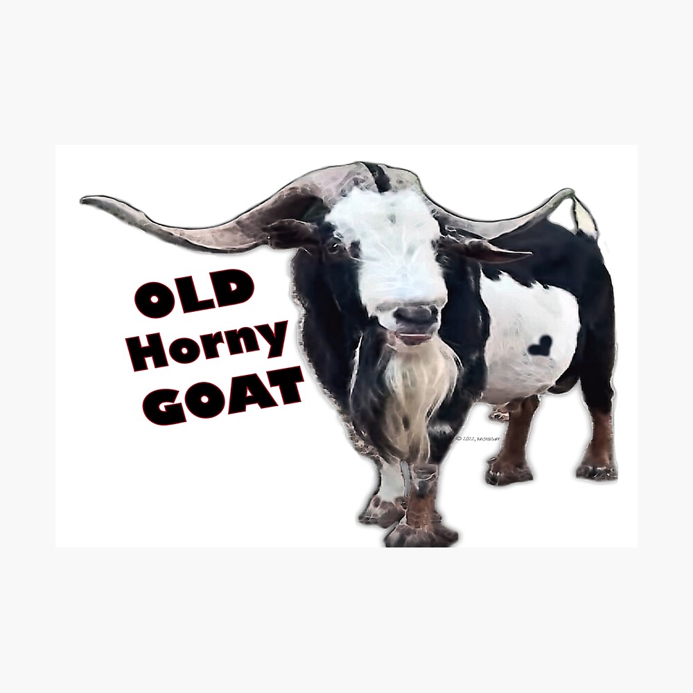 Old horny