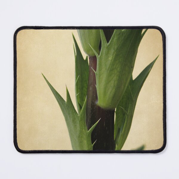 Item preview, Reaching for the Sky designed and sold by Ellen Cotton.
