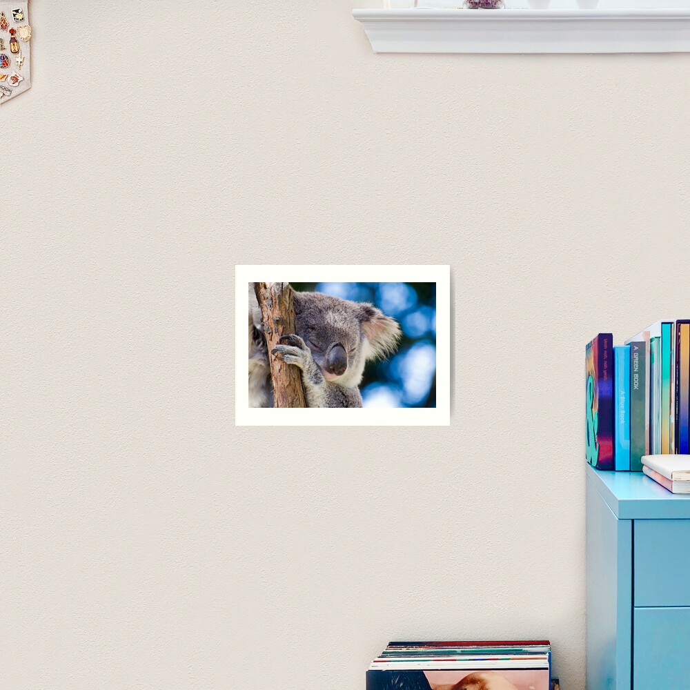 Snugglepot Art Print