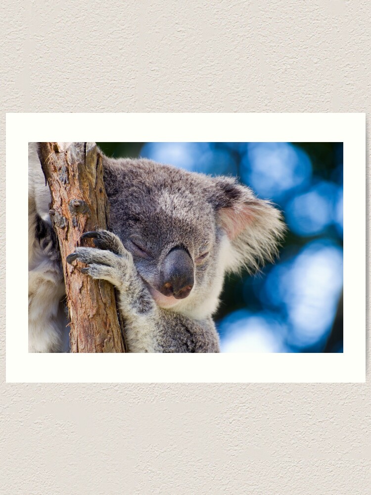 Alternate view of Snugglepot Art Print