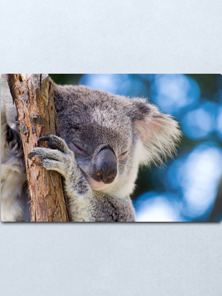 Alternate view of Snugglepot Metal Print