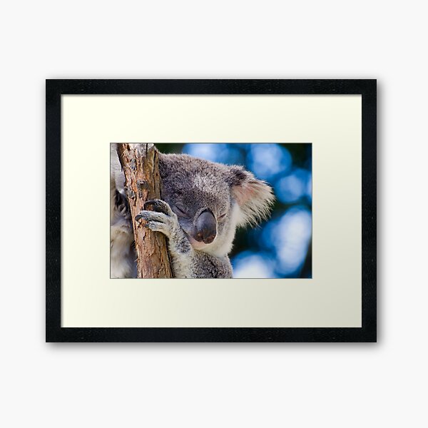 Snugglepot Framed Art Print