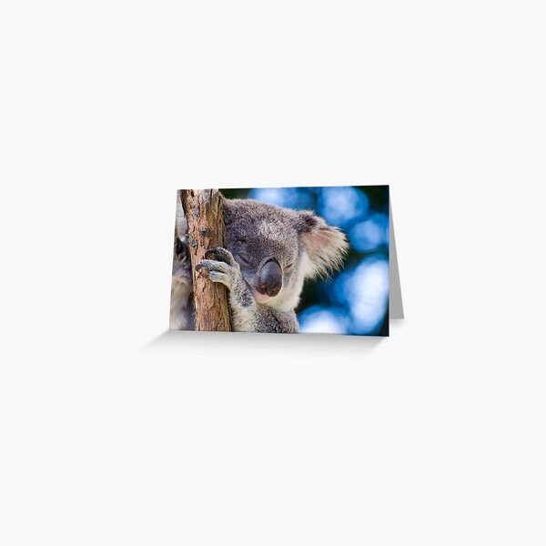 Snugglepot Greeting Card