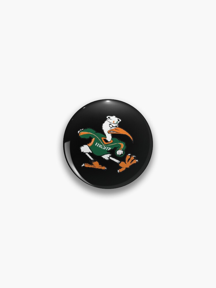 Pin on Miami Hurricanes